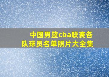 中国男篮cba联赛各队球员名单照片大全集