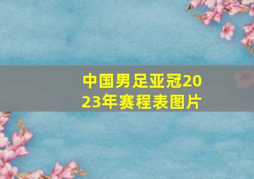 中国男足亚冠2023年赛程表图片