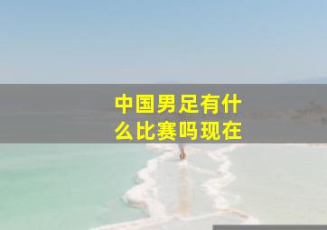 中国男足有什么比赛吗现在