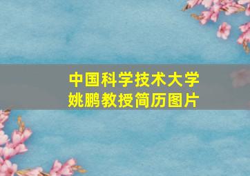 中国科学技术大学姚鹏教授简历图片