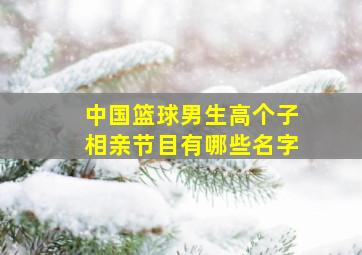 中国篮球男生高个子相亲节目有哪些名字