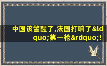 中国该警醒了,法国打响了“第一枪”!