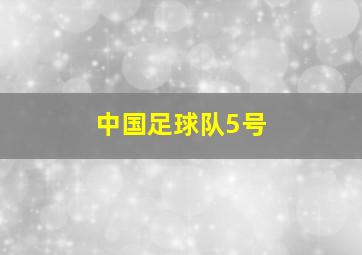 中国足球队5号