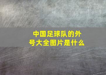 中国足球队的外号大全图片是什么