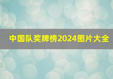 中国队奖牌榜2024图片大全