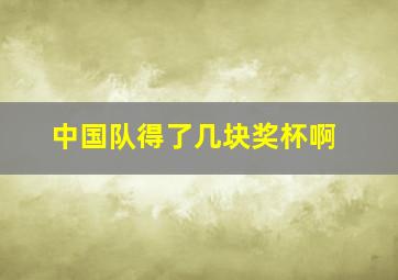 中国队得了几块奖杯啊