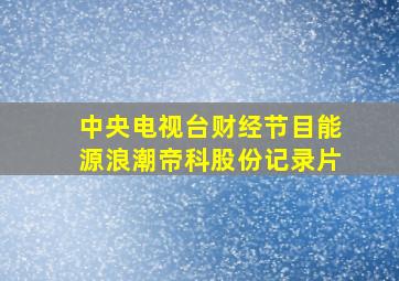 中央电视台财经节目能源浪潮帝科股份记录片