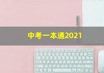 中考一本通2021