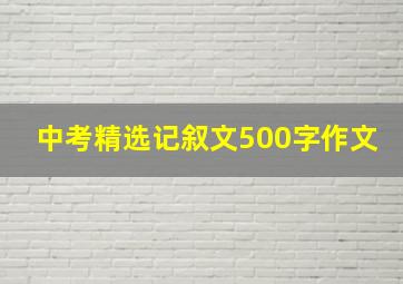 中考精选记叙文500字作文