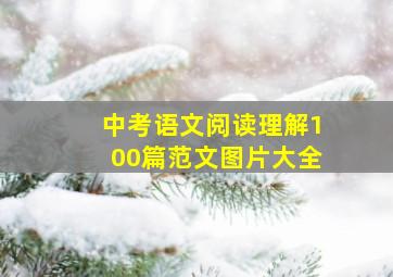 中考语文阅读理解100篇范文图片大全