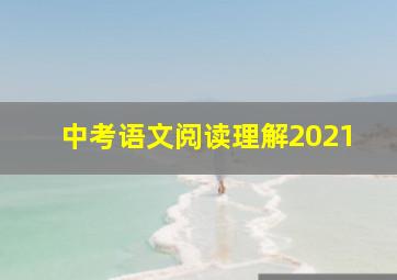 中考语文阅读理解2021