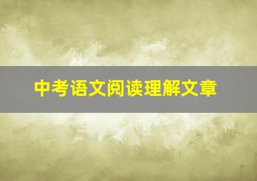 中考语文阅读理解文章