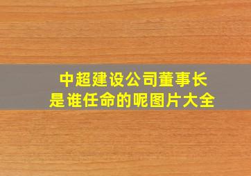 中超建设公司董事长是谁任命的呢图片大全