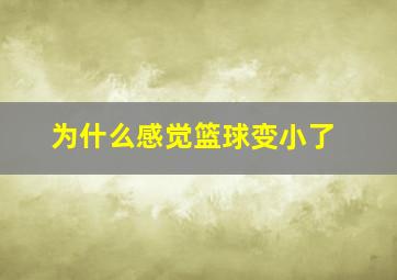 为什么感觉篮球变小了