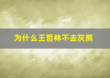 为什么王哲林不去灰熊