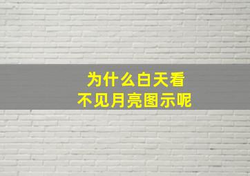 为什么白天看不见月亮图示呢