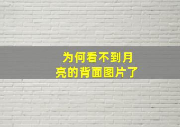 为何看不到月亮的背面图片了