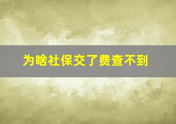 为啥社保交了费查不到