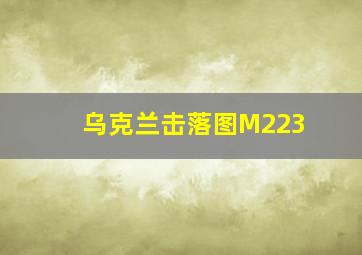 乌克兰击落图M223