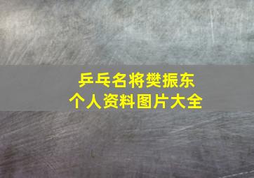 乒乓名将樊振东个人资料图片大全