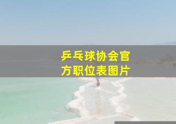 乒乓球协会官方职位表图片