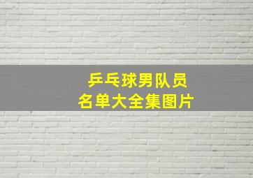 乒乓球男队员名单大全集图片