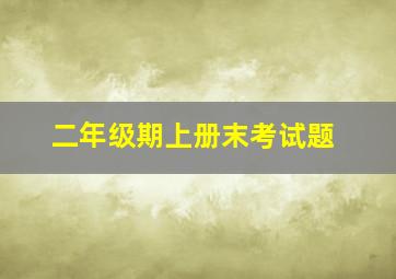 二年级期上册末考试题