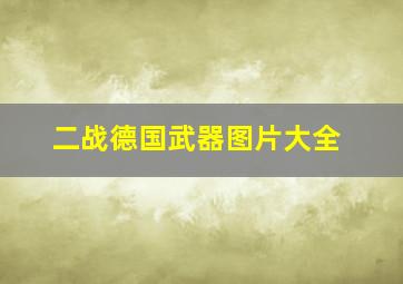 二战德国武器图片大全