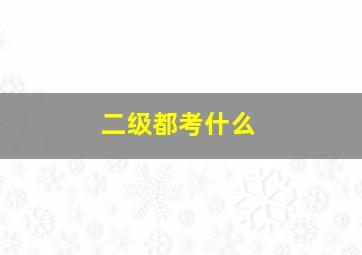 二级都考什么