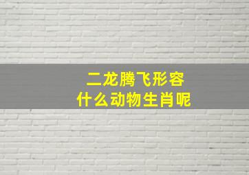 二龙腾飞形容什么动物生肖呢