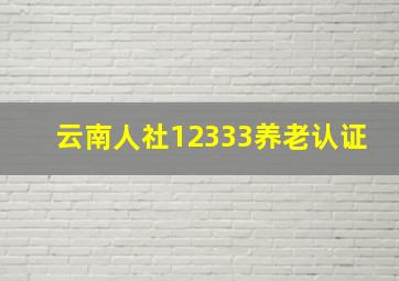 云南人社12333养老认证