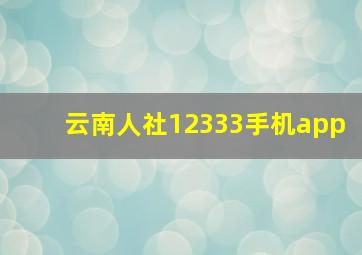 云南人社12333手机app