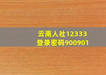 云南人社12333登录密码900901