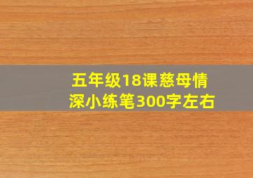 五年级18课慈母情深小练笔300字左右