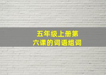 五年级上册第六课的词语组词