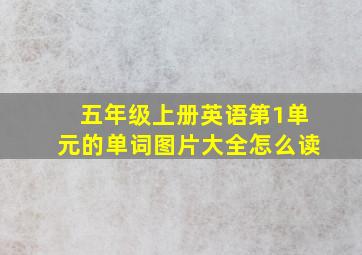 五年级上册英语第1单元的单词图片大全怎么读