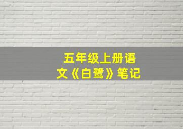 五年级上册语文《白鹭》笔记