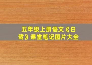 五年级上册语文《白鹭》课堂笔记图片大全