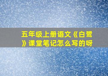 五年级上册语文《白鹭》课堂笔记怎么写的呀