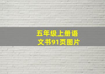 五年级上册语文书91页图片