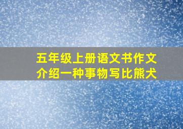 五年级上册语文书作文介绍一种事物写比熊犬