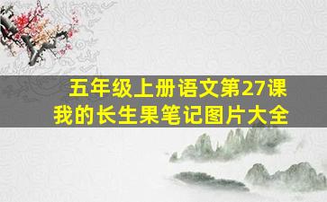 五年级上册语文第27课我的长生果笔记图片大全