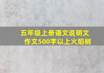 五年级上册语文说明文作文500字以上火焰树