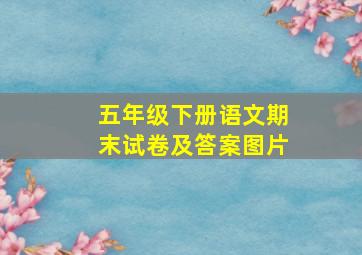 五年级下册语文期末试卷及答案图片