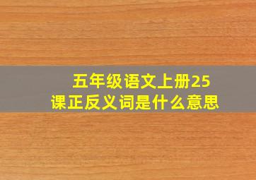 五年级语文上册25课正反义词是什么意思