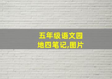 五年级语文园地四笔记,图片