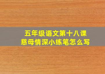 五年级语文第十八课慈母情深小练笔怎么写