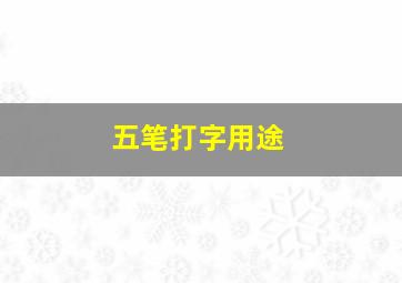 五笔打字用途