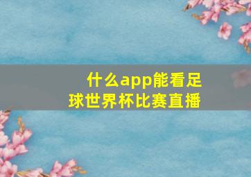 什么app能看足球世界杯比赛直播