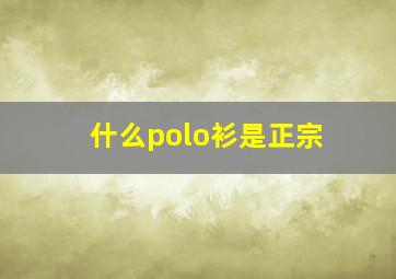 什么polo衫是正宗